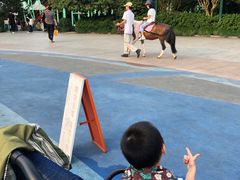 -杭州少年儿童公园
