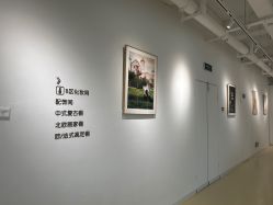 -非常六加一儿童摄影(同安店)