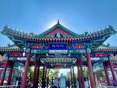 -莲花池公园