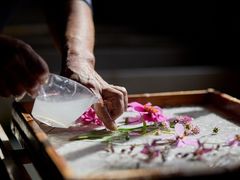 -日本大使馆-新闻文化中心