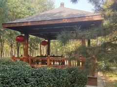 -大兴滨河森林公园