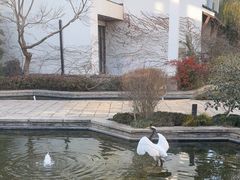 -广富林宰相府酒店·水云间