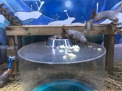 -海合安青岛极地海洋公园