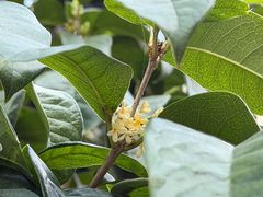 -苏州河梦清园环保主题公园