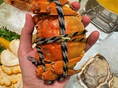 -京彩臻品火锅