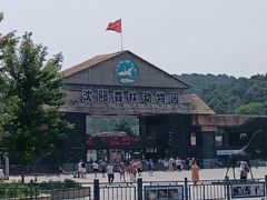 -沈阳森林动物园