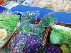 -汇元玩家(金正玩具城店)