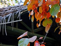 -周口店坡峰岭风景区