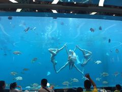 -瑞德姆美人鱼海底演艺主题餐厅(亚龙湾店)