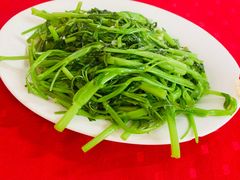 -蛇口康乐快餐鱼仔档(翠苑小区店)