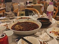 -陈麻婆豆腐总店