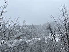 -龙苍沟森林公园