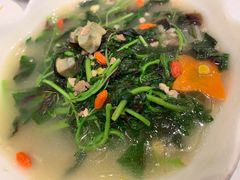 上汤苋菜-双井轩(双井店)