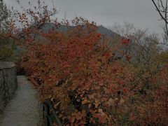 -香山公园