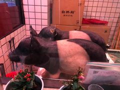 -小稻田辣椒炒肉(大浪商业中心店)