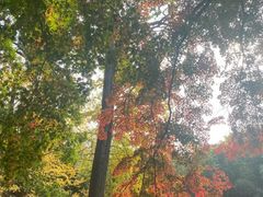 -青岛崂山太清宫