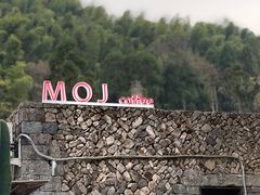 -MOJ coffee(瓯海泽雅水碓坑店)