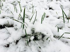 -凯旋公路客运站