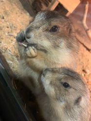 -酷嗒动物文化乐园(cutezoo西溪乐天城店)