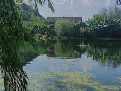 -贵阳市花溪国家城市湿地公园