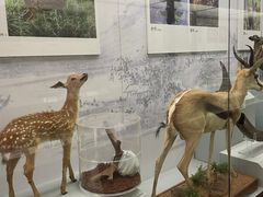 -杭州胡庆余堂第二中医门诊部