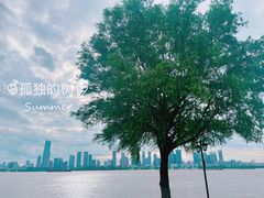 -武昌江滩