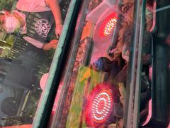 -洪记白水羊头(天坛店)