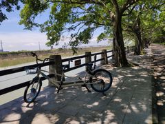 -大湾区中央湿地公园