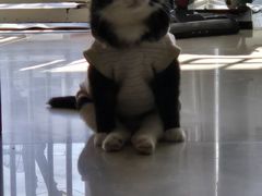 -平行世界·猫咖(首经贸店)