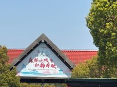 -上海海湾国家森林公园