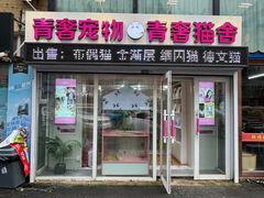 -青奢宠物·青奢猫舍