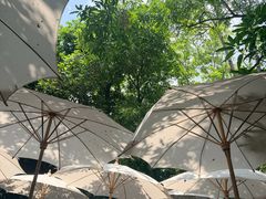 -Fern Forest Cafe