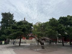 -大钟寺古钟博物馆