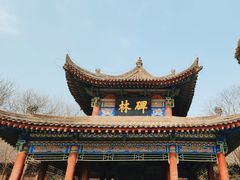 -西安碑林博物馆