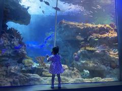 -海合安成都极地海洋公园