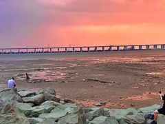 -宝安西湾红树林湿地公园