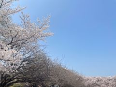 -秦始皇帝陵博物院(兵马俑)