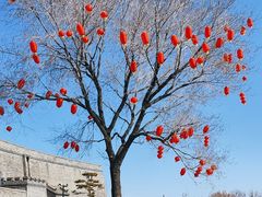 -河东池盐文化博览园