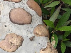 -海珠儿童公园