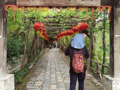 -井塘古村
