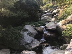 -东林大峡谷