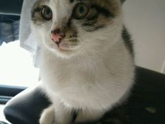 -湖北省中医院(光谷院区)