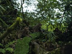 -西岭雪山大飞水景区