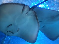 -太平洋海底世界