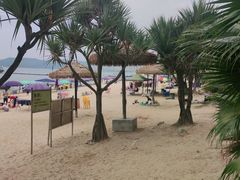 -碧桂园十里银滩