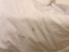 -广州粤海喜来登酒店