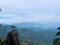 -黄山风景区