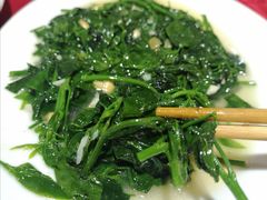 炒枸杞叶-车头老二大排档