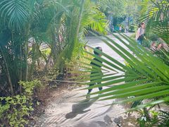 -灵玲国际马戏城