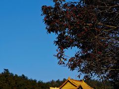 -南京市无想山景区